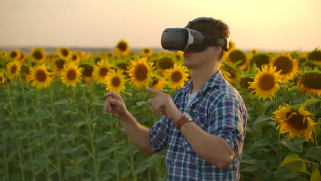The-biologist-is-working-in-VR-glasses.-He-is-engaged-in-the-working-process.-It-is-a-beautiful-sunny-day-in-the-sunflower-field.